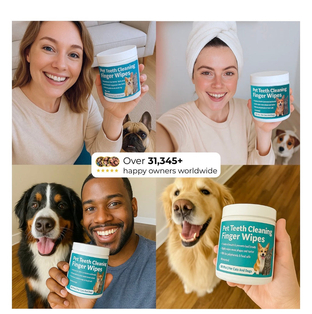 Pet Ear & Teeth Cleaning Wipes Kit – Gentle Grooming & Ear Mite Removal